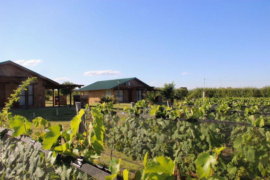 Cabañas en San Rafael